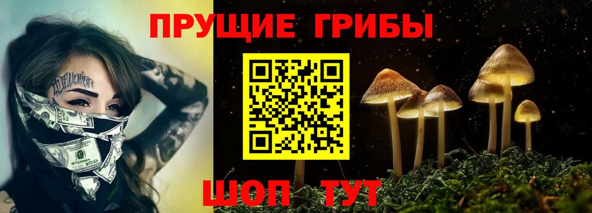 купить закладку  Вход с VPN  Орёл  Галлюциногенные грибы мухоморы 